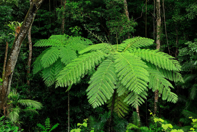 Sustainable Venues in New Zealand