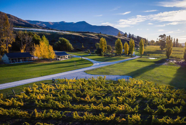 The Top Queenstown Vineyard Venues