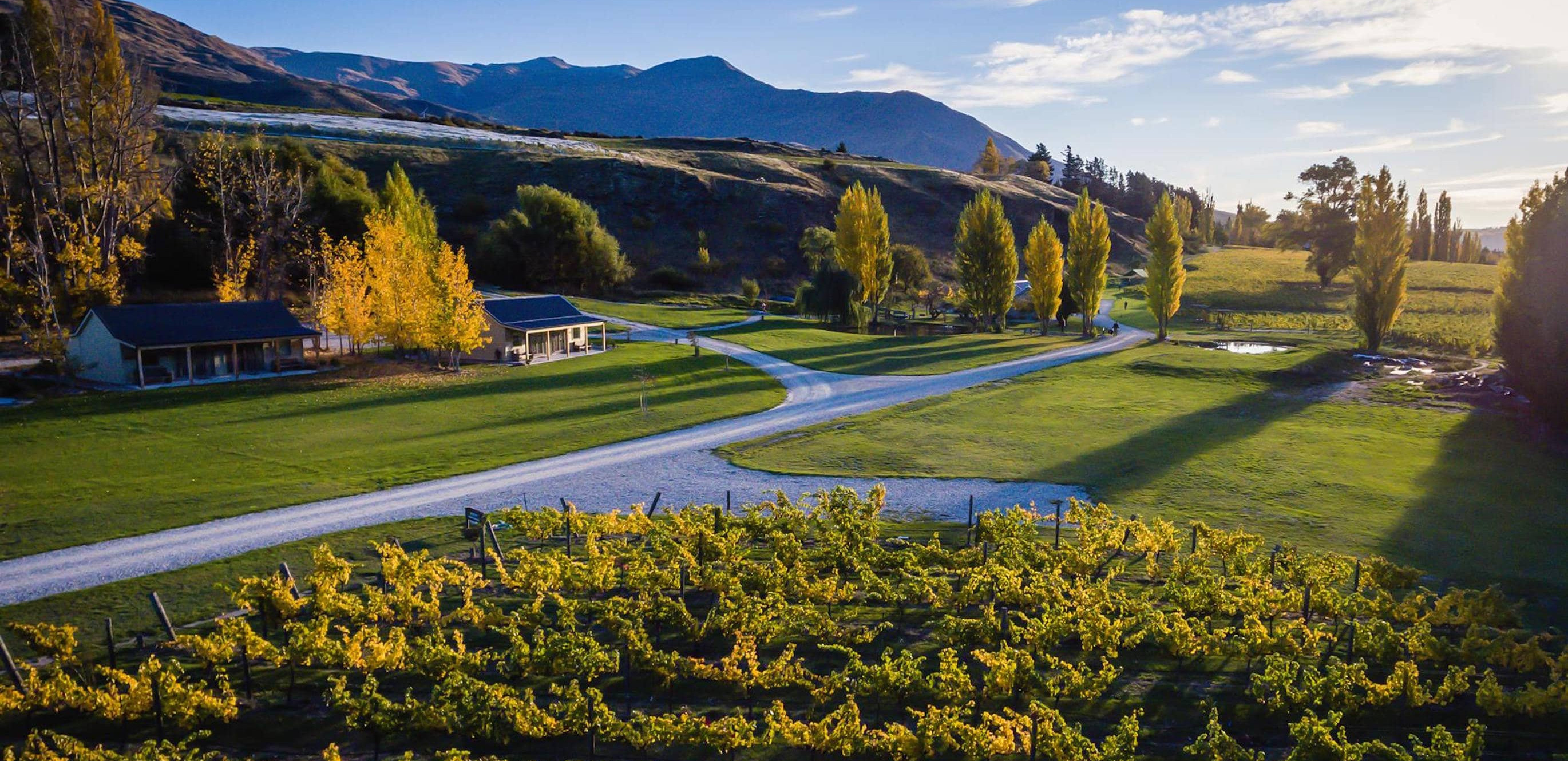 The Top Queenstown Vineyard Venues