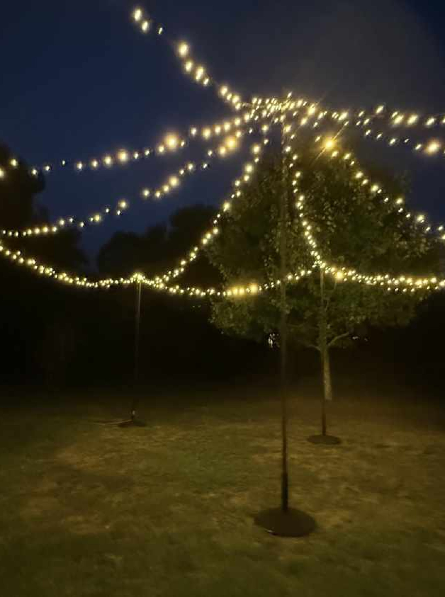 An enchanting outdoor event space with romantic fairy lighting, created by Light and Leaf Co. in Auckland.
