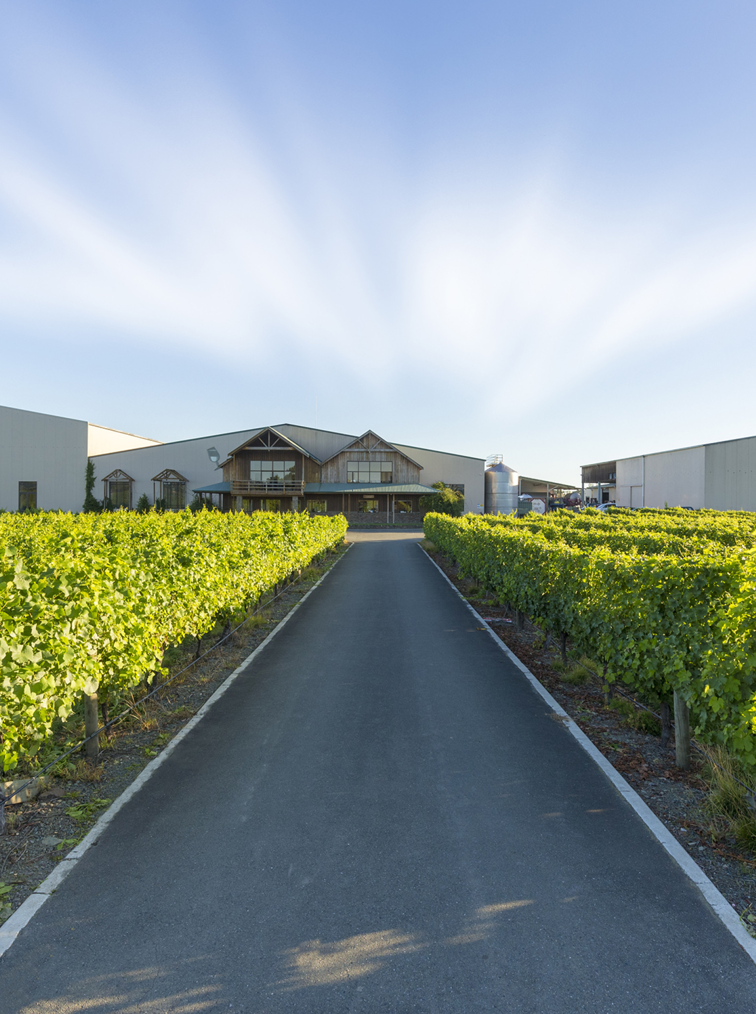 Entrance to the rustic Harvest Kitchen, a winery restaurant at Seifried Estate in Nelson-Tasman, nestled within green vineyards.