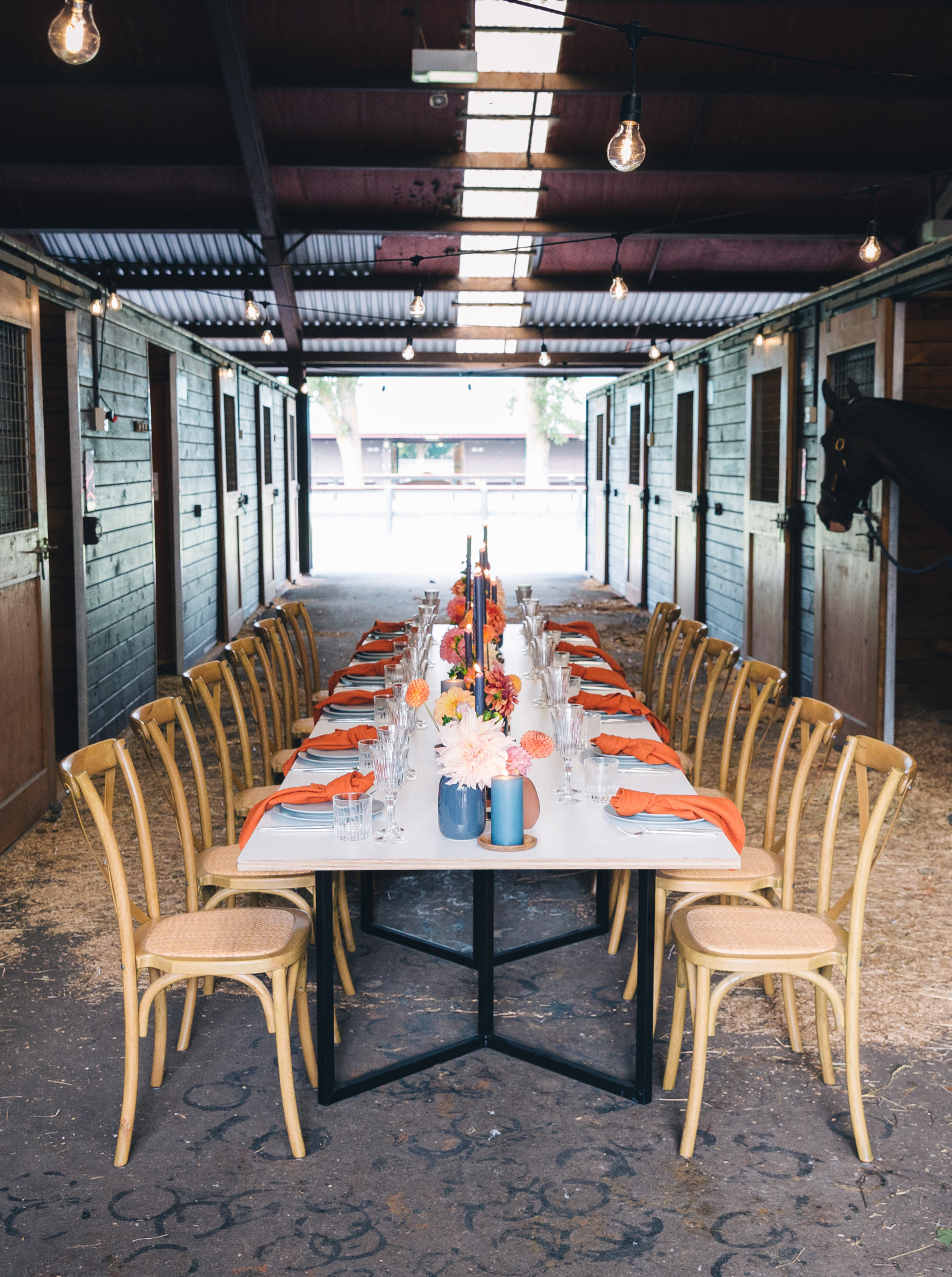 A dining table set with flowers and orange napkins in a rustic stable aisle at Karaka Pavilion, Auckland, with horses observing from stalls.