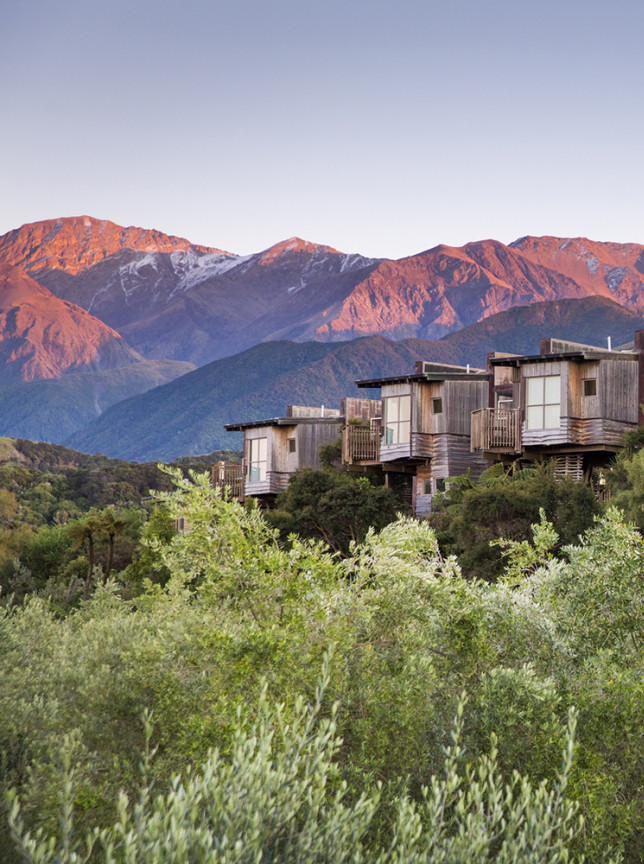 Hapuku Lodge in Marlborough features elevated wood-clad treehouse lodges nestled against a majestic mountain range.
