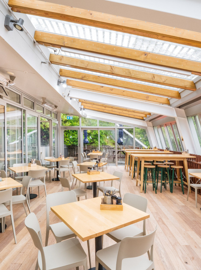 A bright, nature-integrated indoor dining space at Zealandia Te Māra a Tāne in Wellington, featuring large windows overlooking the ecosanctuary.