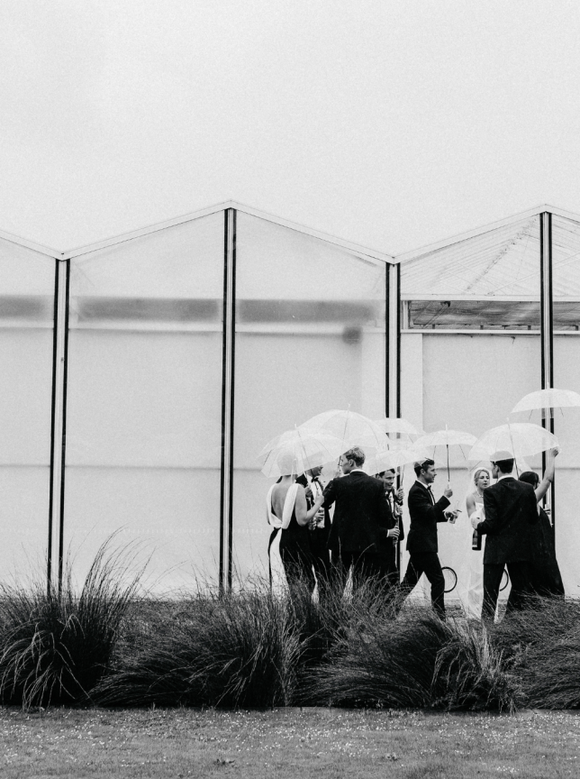 Wedding guests with umbrellas gather outside the contemporary, greenhouse-style ilex venue in Christchurch.