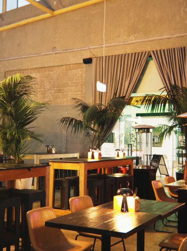This industrial-chic dining room with warm lighting, concrete walls, and palm plants is Orakei Local in Auckland.