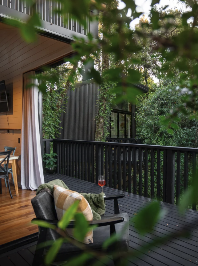 An inviting outdoor deck at Te Aka Treehouse, West Coast, a contemporary luxury treehouse immersed in native rainforest.