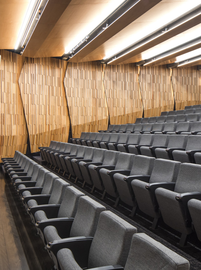 The contemporary auditorium at Tiakiwai Conference Centre in Wellington features tiered grey seating and striking wooden walls.