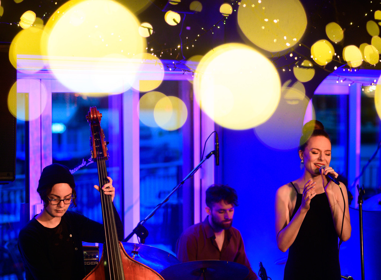 Wellington Bands performs live in a contemporary Wellington venue, enhanced by glowing bokeh lights.