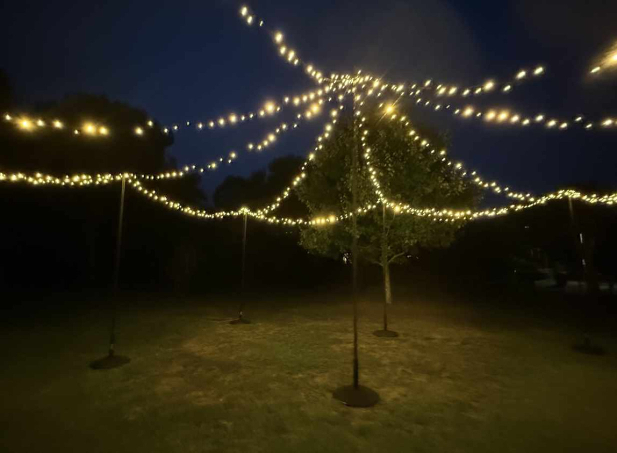 An enchanting outdoor event space with romantic fairy lighting, created by Light and Leaf Co. in Auckland.