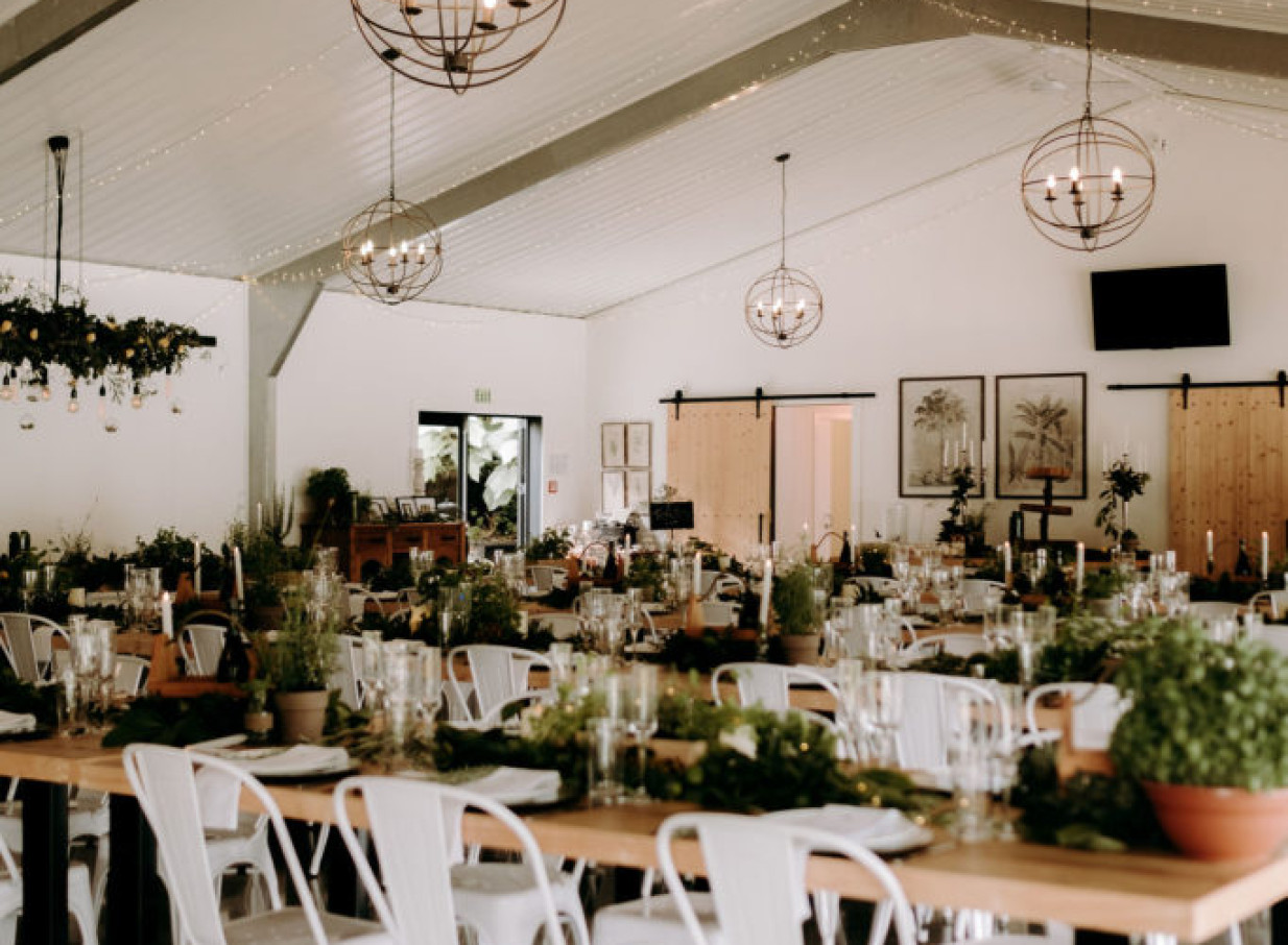 A contemporary Shed 109 reception at Liddington Gardens, Bay of Islands, featuring lush garden-inspired decor.