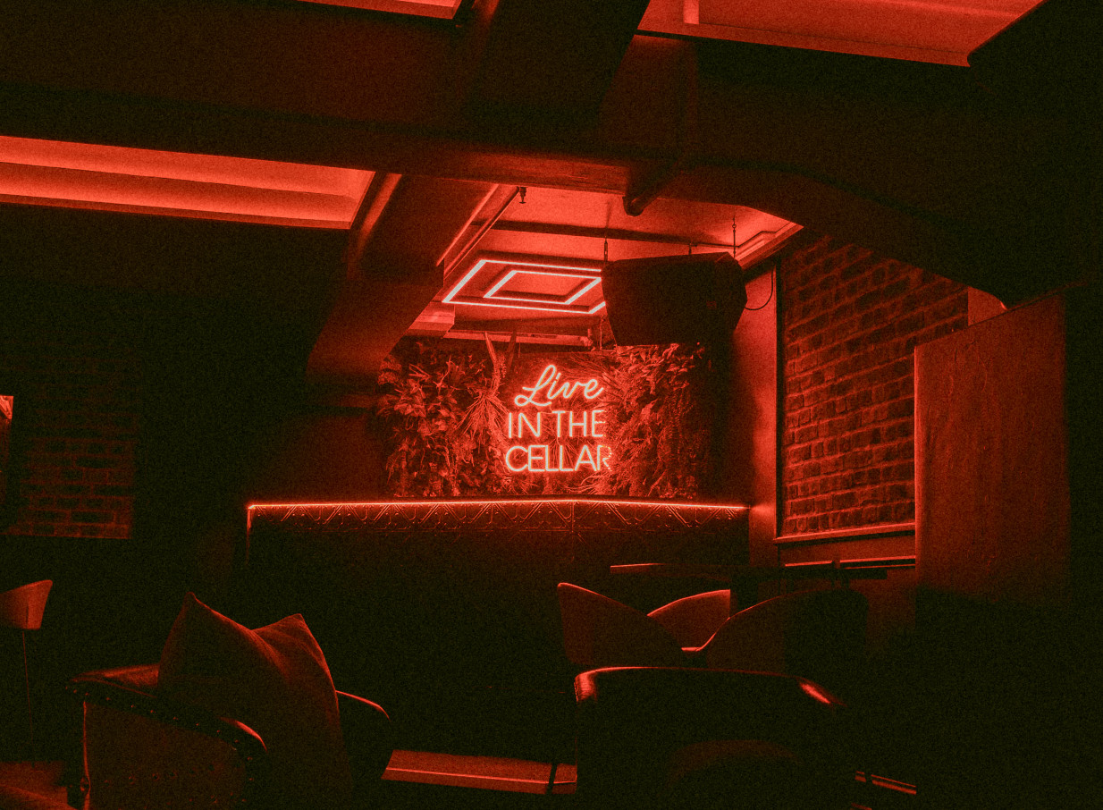 Auckland's Cellar Bar: a cozy, dimly lit underground lounge with red neon and lush plant walls.