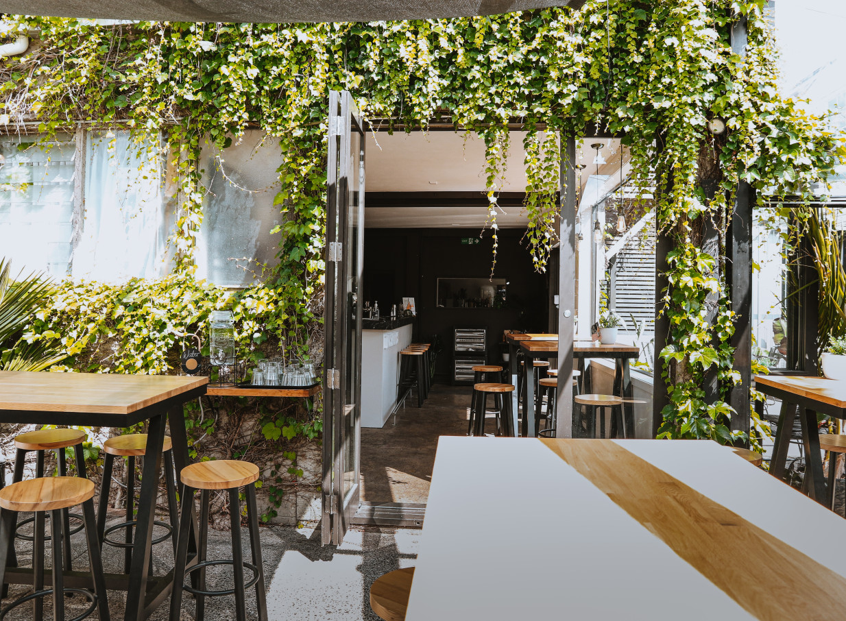 Rosanna's Garden Bar in Auckland presents a lush, ivy-covered outdoor dining and bar area with stylish modern seating.