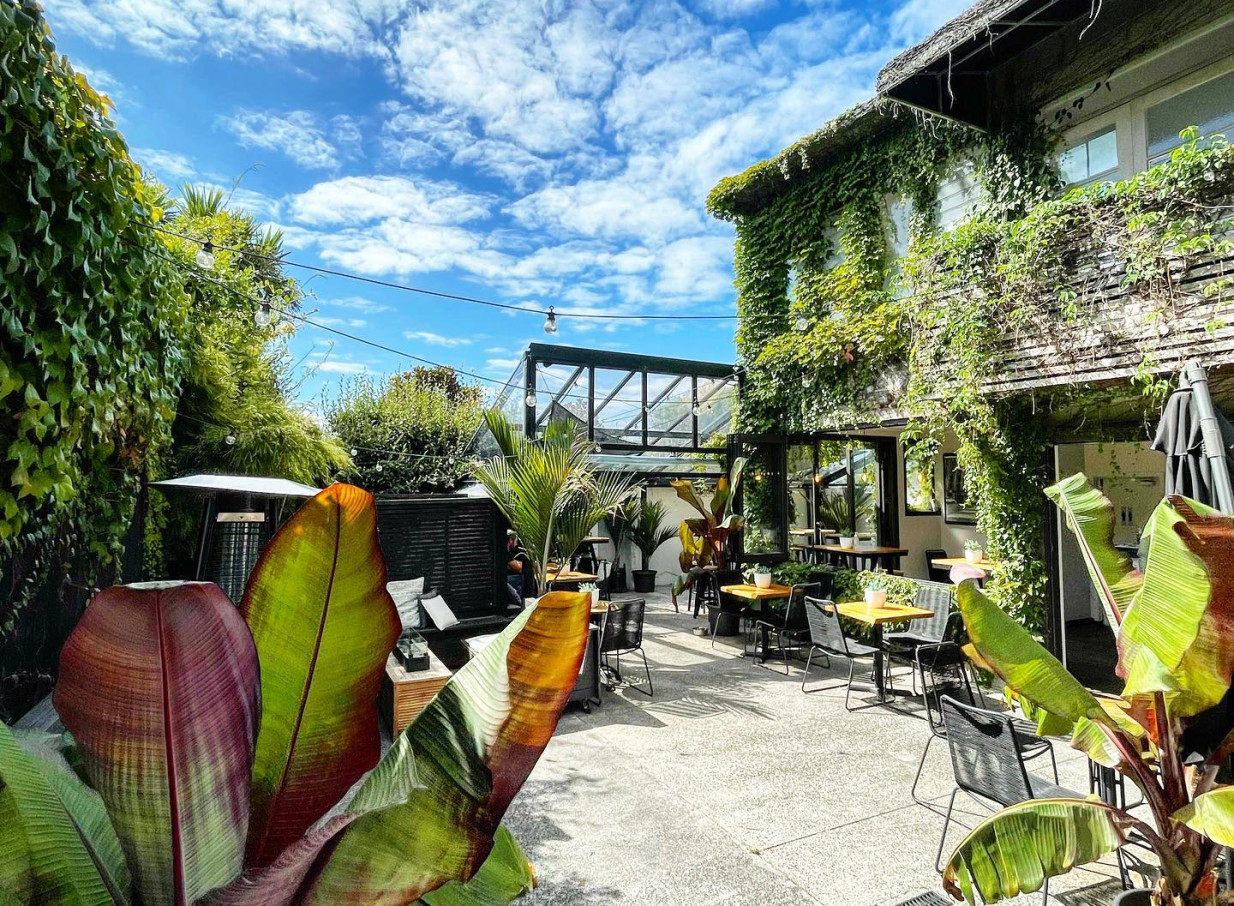 An outdoor courtyard at Rosanna's Garden Bar, Auckland, boasts lush greenery, ivy-covered buildings, and a glasshouse.