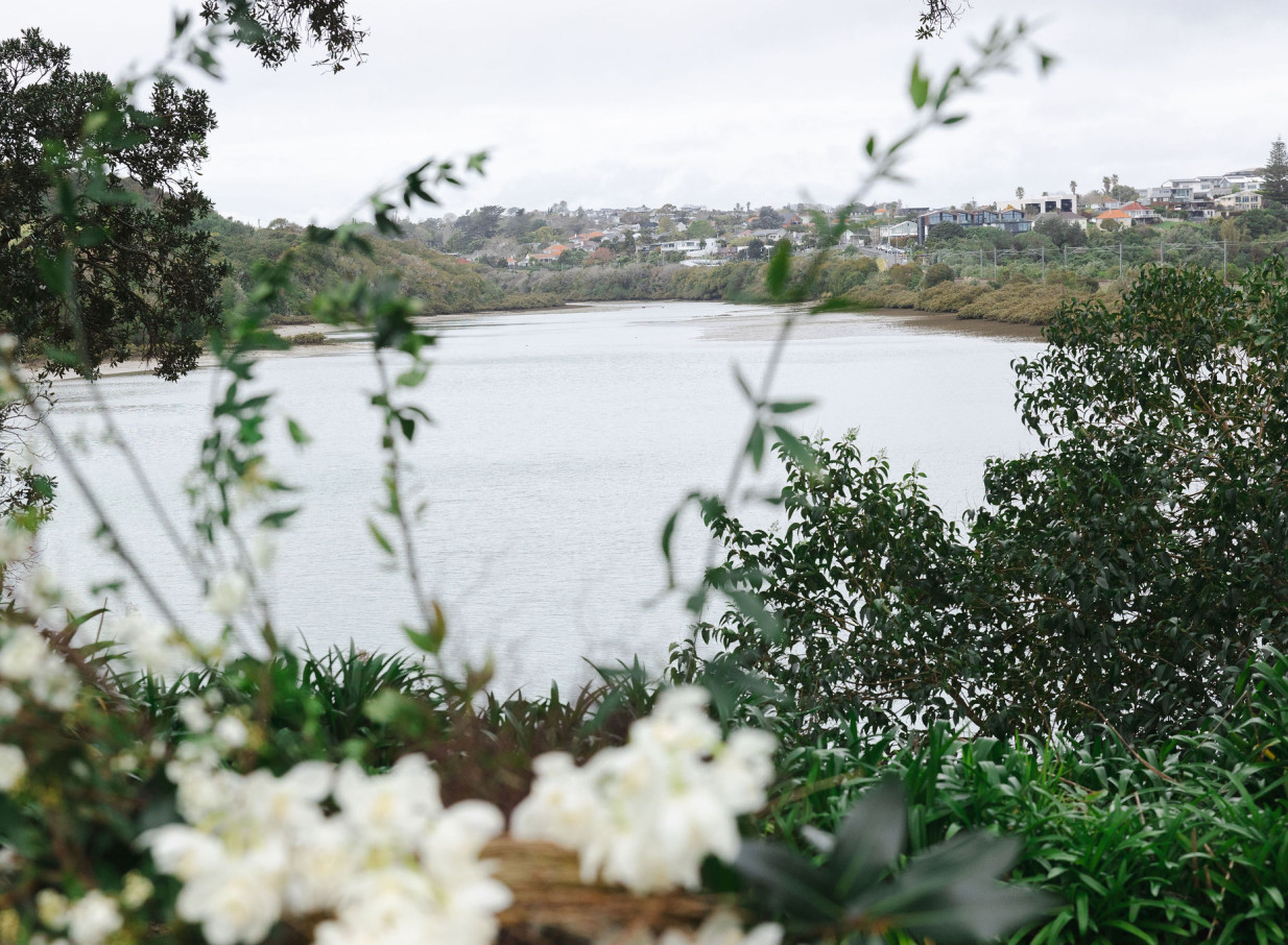 Orakei Bay, Auckland, offers a tranquil waterside view, framed by lush greenery and white flowers, highlighting its natural coastal beauty.