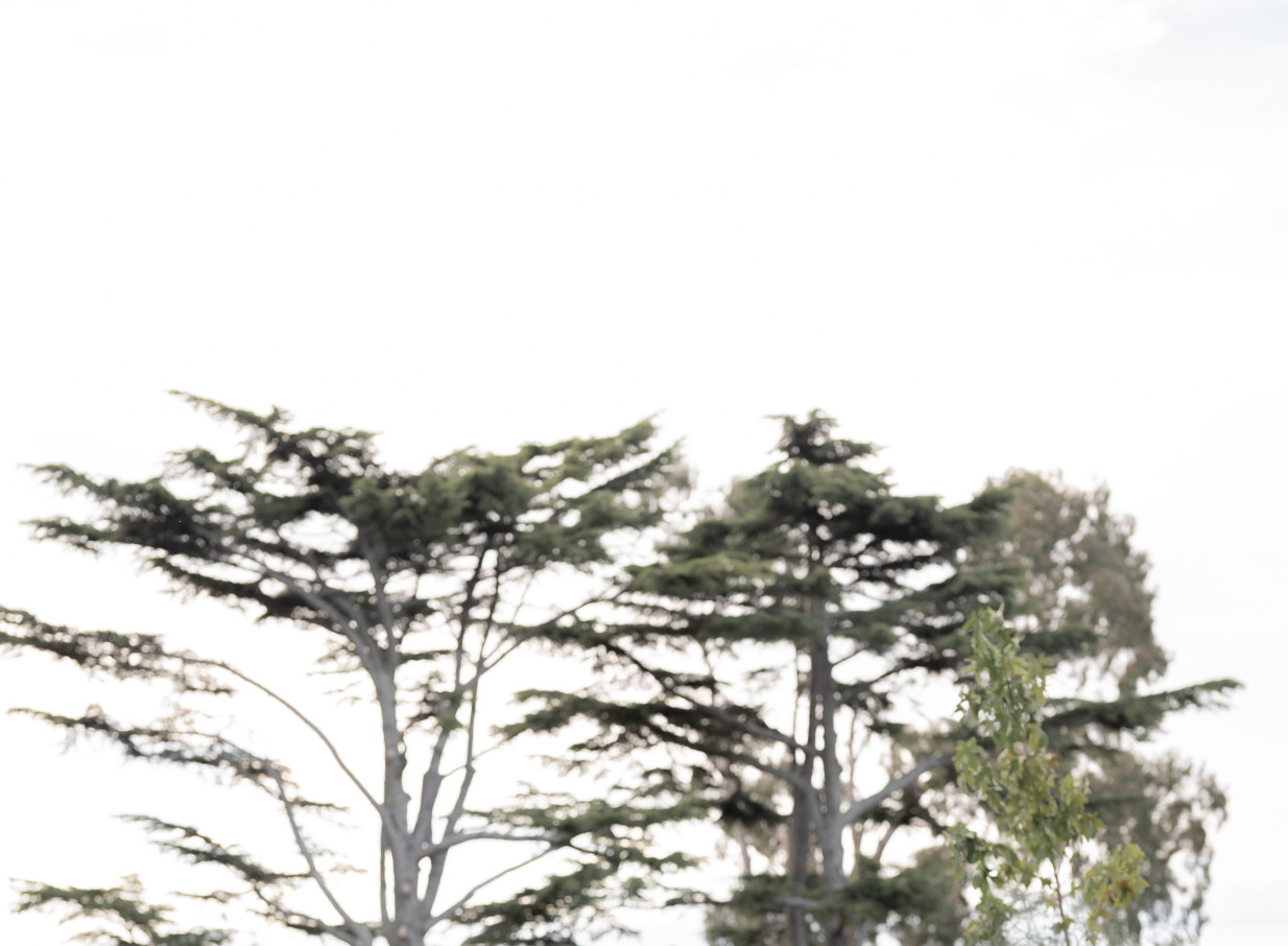 Established trees stand tall at Kōtare Estate, a Mediterranean-inspired 1920s venue nestled in Hawke's Bay.