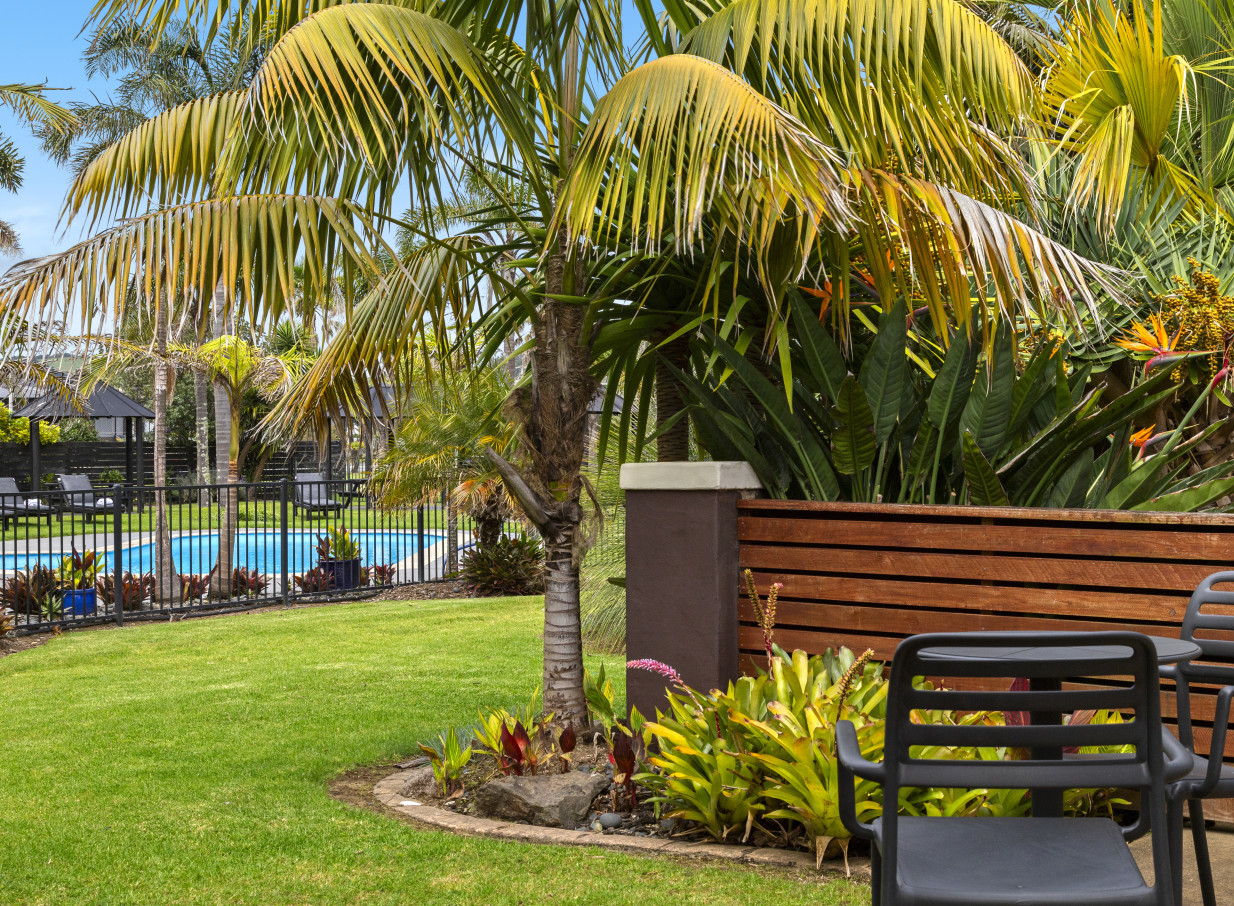 A lush, tropical outdoor pool area at Taipa Beach Resort in Northland, featuring vibrant foliage and swaying palm trees.