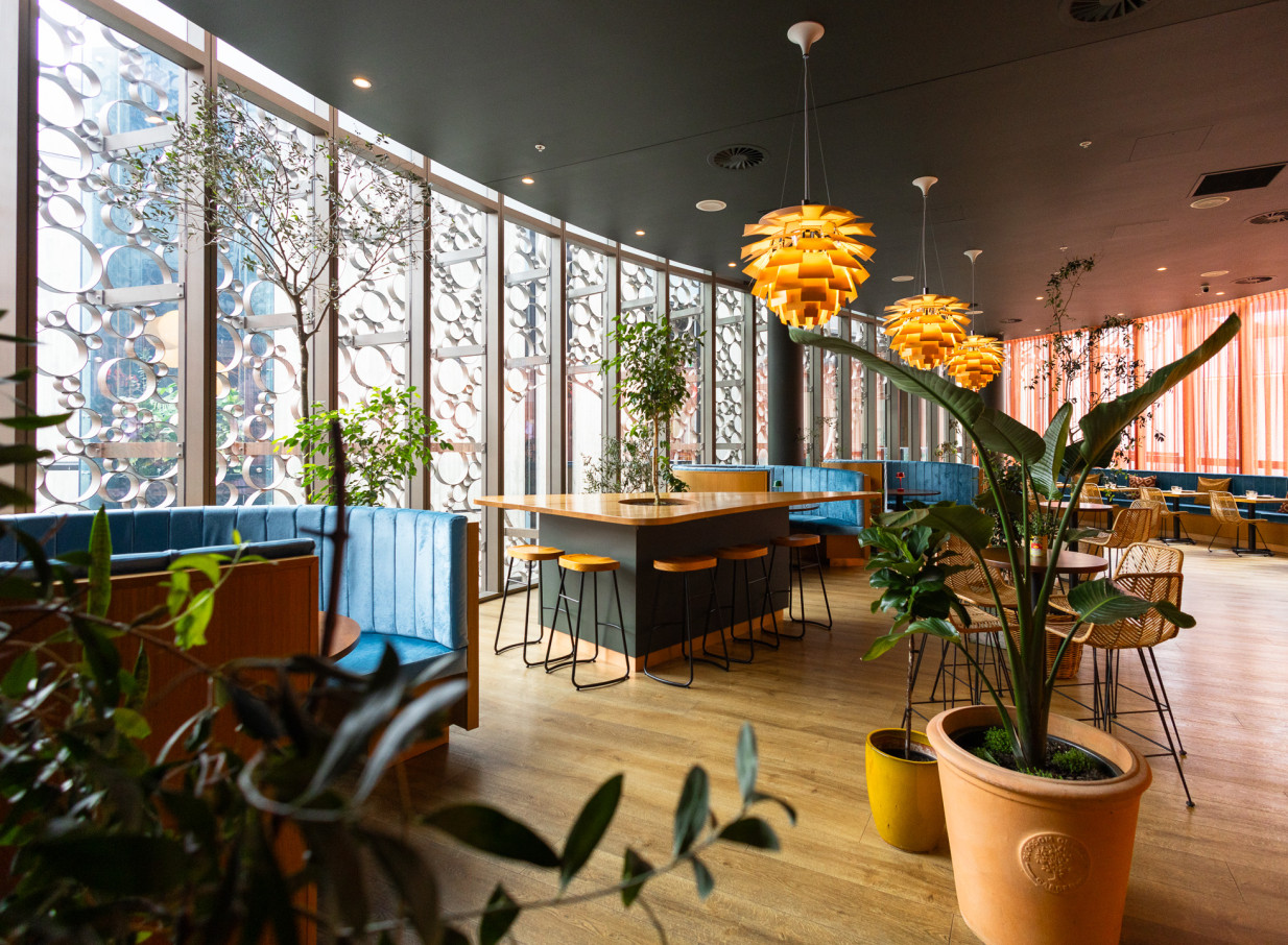 Bar Franco in Christchurch offers a modern Italian dining and bar interior, featuring vibrant pendant lights, blue velvet booths, and decorative window screens.