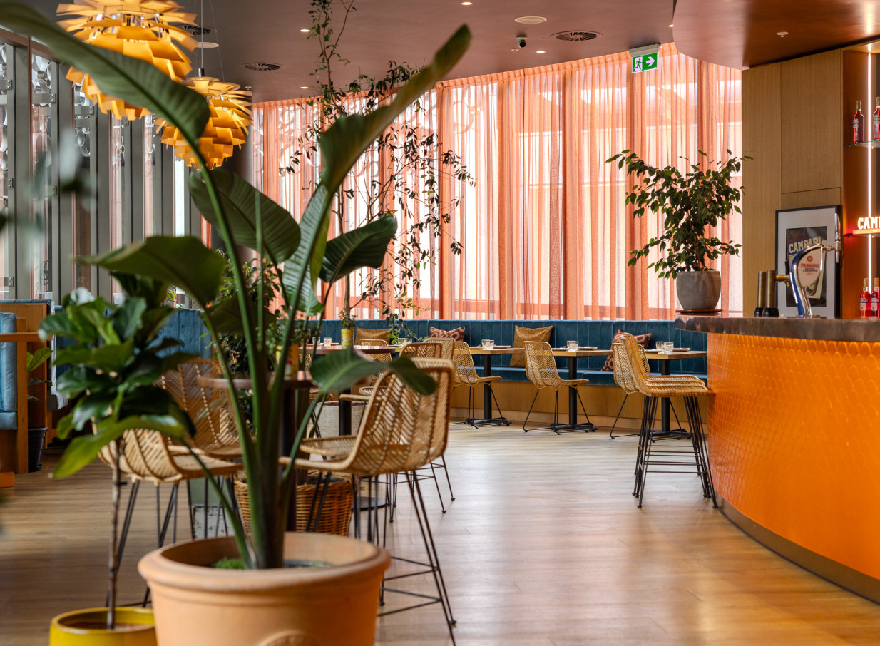 Bar Franco, a vibrant Italian-style bar and dining space in Christchurch, features lush plants and a bold orange counter.