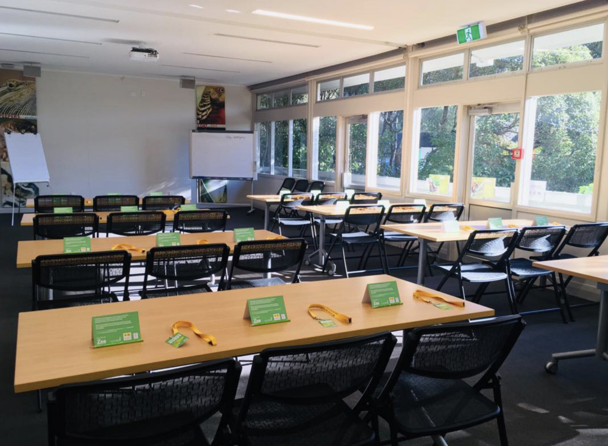 A bright, modern meeting room at Te Nukuao Wellington Zoo, featuring large windows and a flexible setup for workshops.