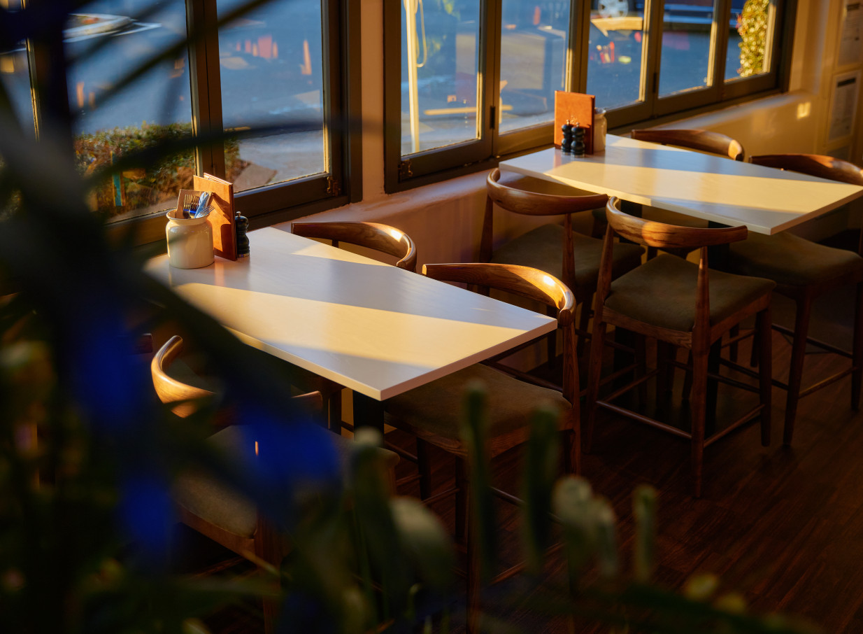 A warm, inviting modern bistro dining area with wooden seating and natural light at The Earl, Auckland.