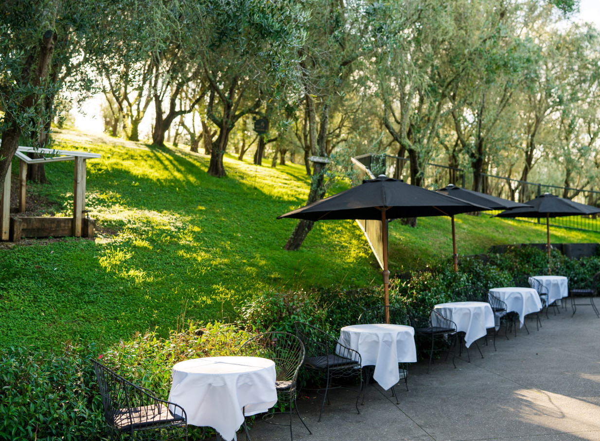 Mediterranean-inspired outdoor dining at Bracu Estate, Auckland, with tables and umbrellas nestled within the olive grove.