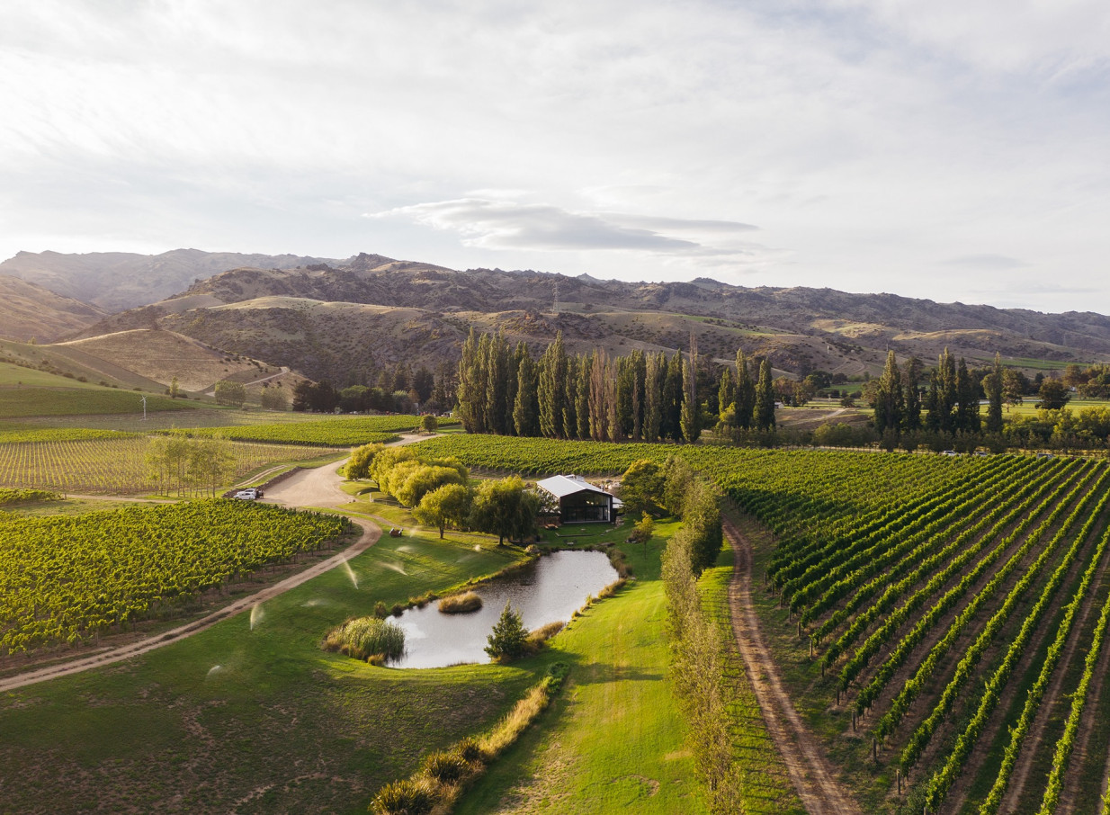 Cloudy Bay Shed, a modern Central Otago winery and event venue, located by a pond amidst lush vineyards.