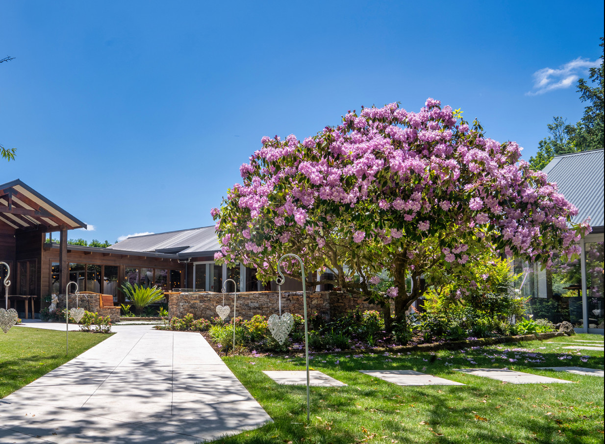 A picturesque garden path with a large pink blossoming tree at Markovina Vineyard Estate, Auckland, reflecting its natural elegance.
