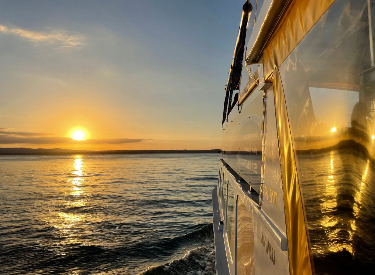 Ocean Groove Cruises' contemporary private charter boat glides through Auckland Harbour at sunset.