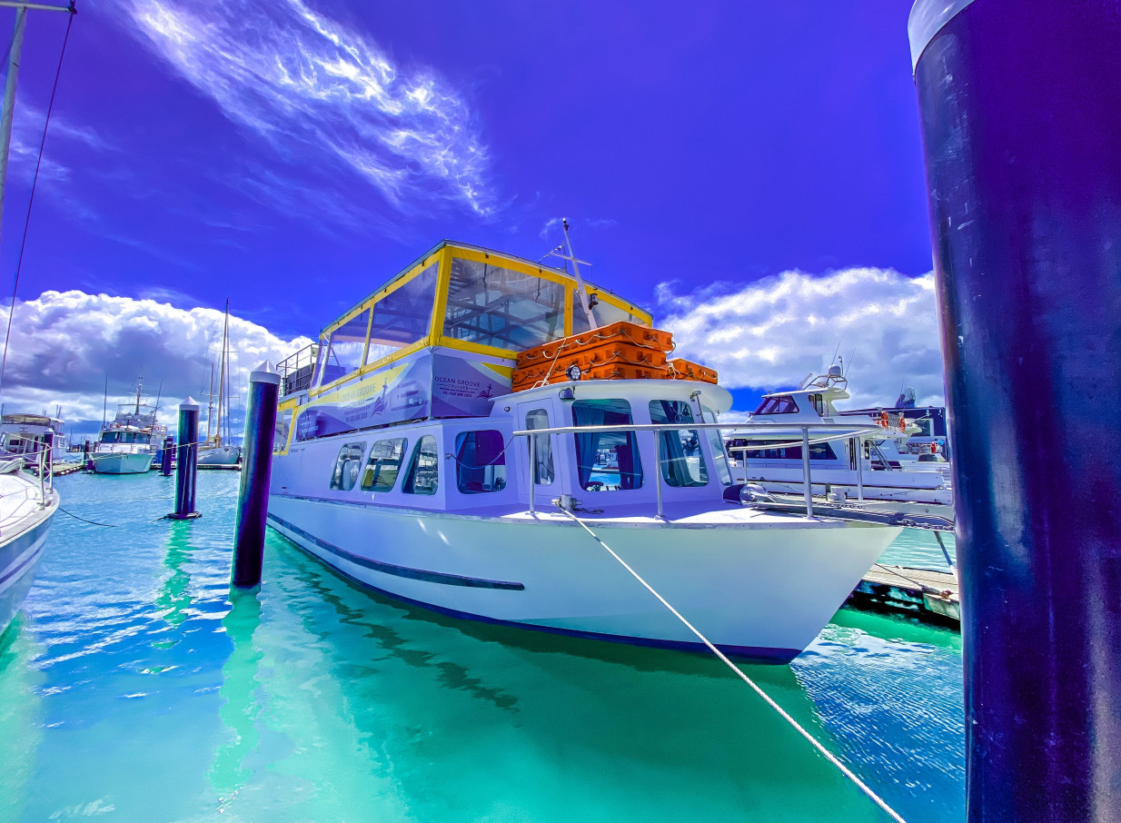 This contemporary event boat from Ocean Groove Cruises is docked in Auckland, ready for unique gatherings on the water.
