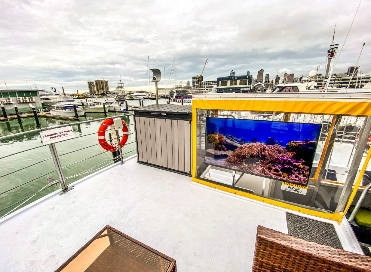 Outdoor deck of Ocean Groove Cruises' modern event boat in Auckland, displaying a vibrant coral reef on screen with city views.