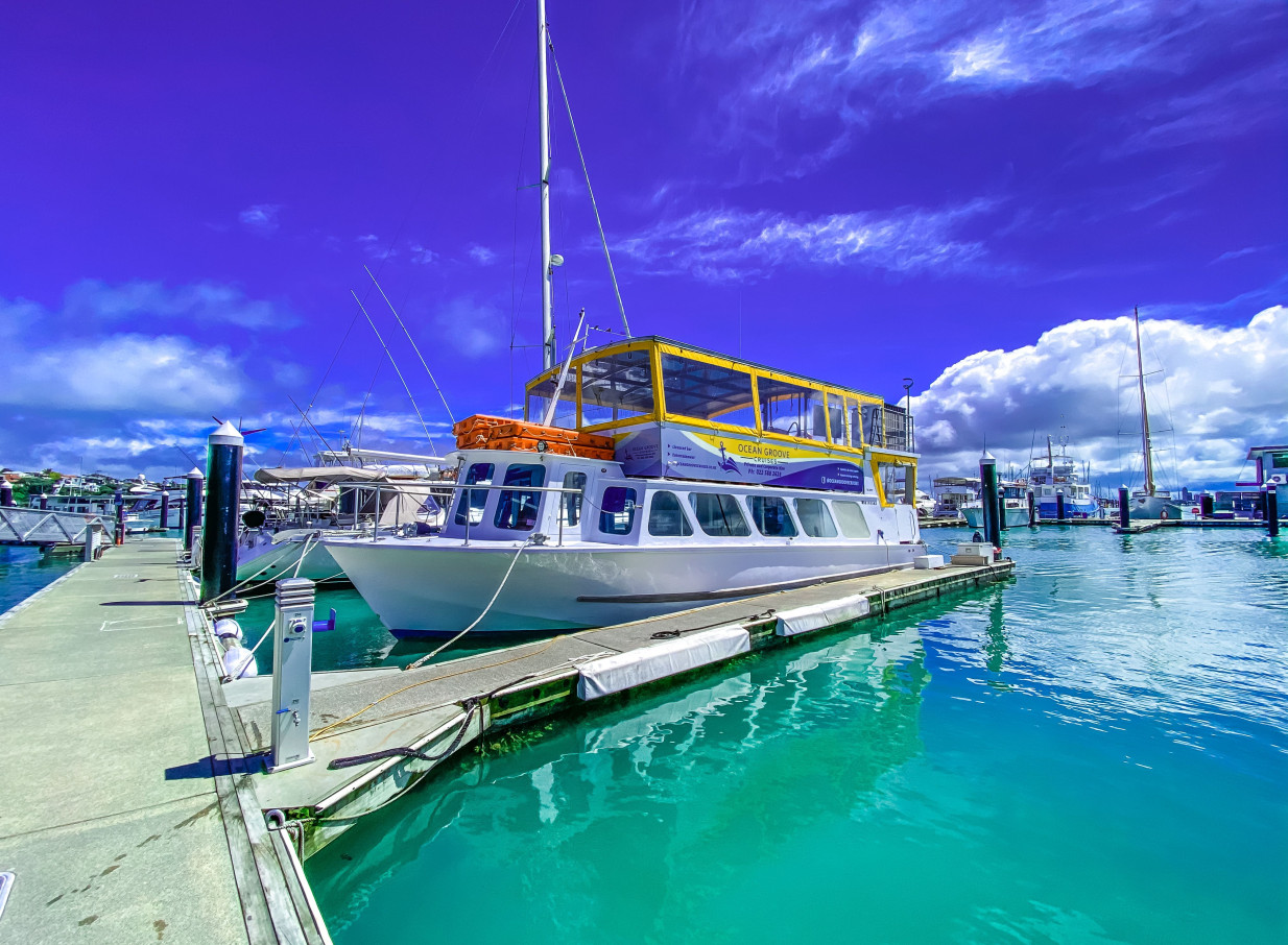 Auckland's Ocean Groove Cruises party boat docked in a marina, ready for charter.