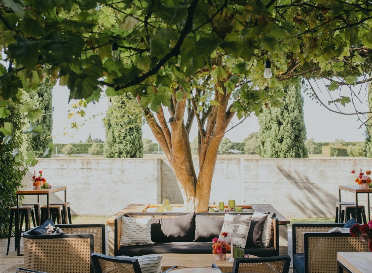 An inviting outdoor lounge under a grapevine canopy at St George's Restaurant, Hawke's Bay, showcasing its rustic Tuscan charm.