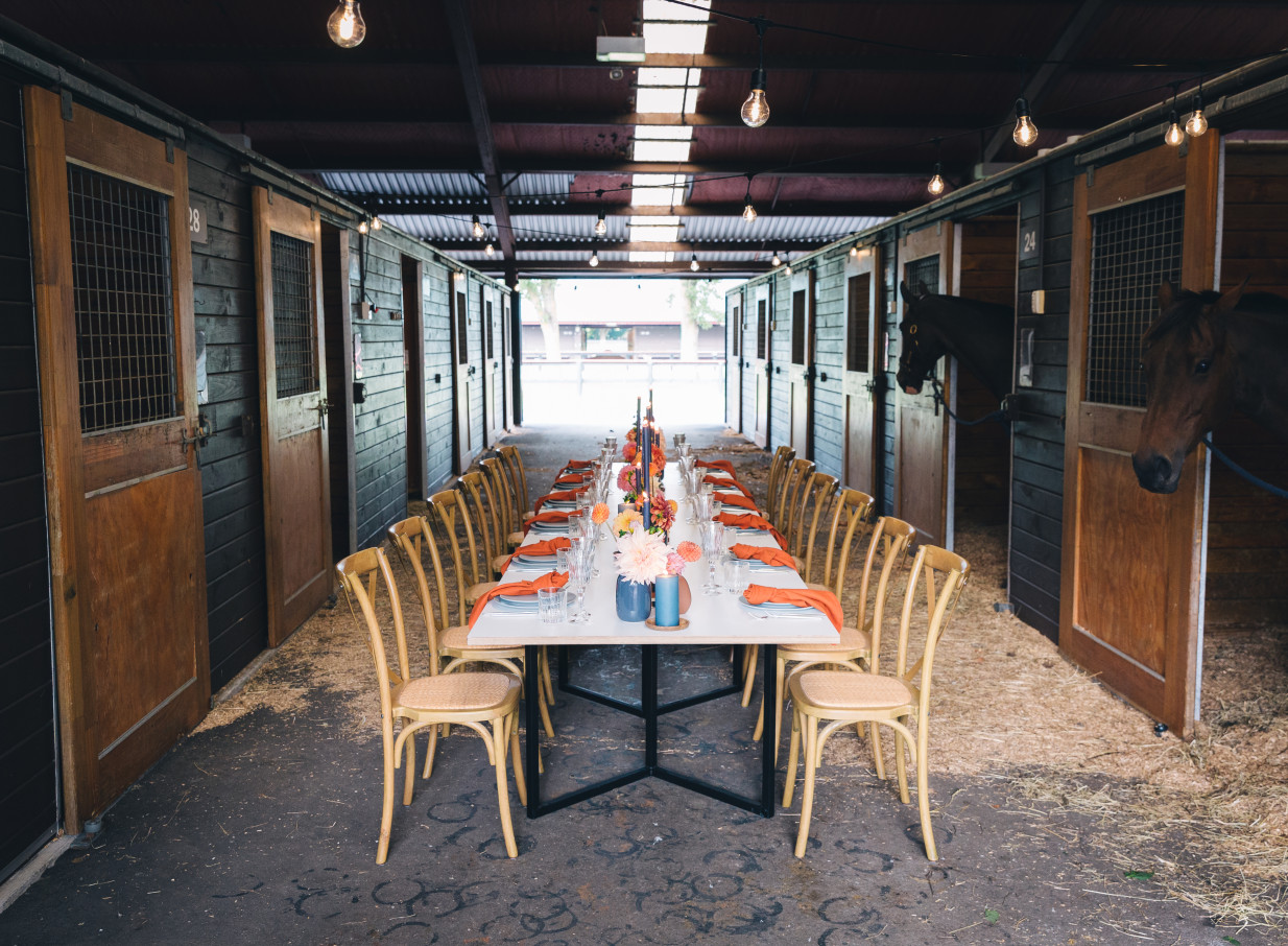A dining table set with flowers and orange napkins in a rustic stable aisle at Karaka Pavilion, Auckland, with horses observing from stalls.