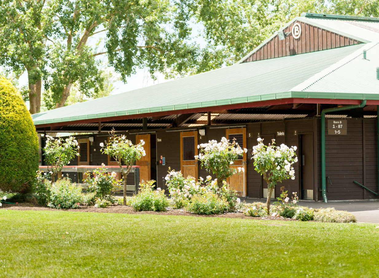 The Karaka Pavilion in Auckland presents a charming stable building with a green roof, surrounded by blooming roses and lush grounds.