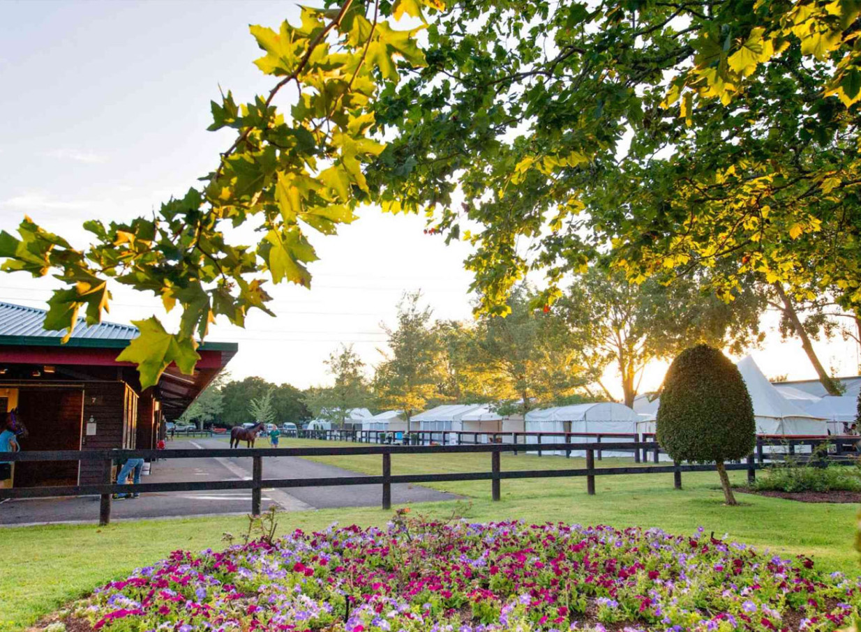 An outdoor event space at Karaka Pavilion, Auckland, showcasing charming stables, manicured gardens, and white event tents.